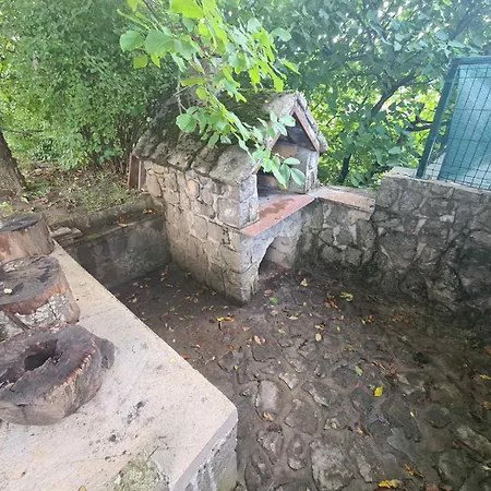Prenociste 